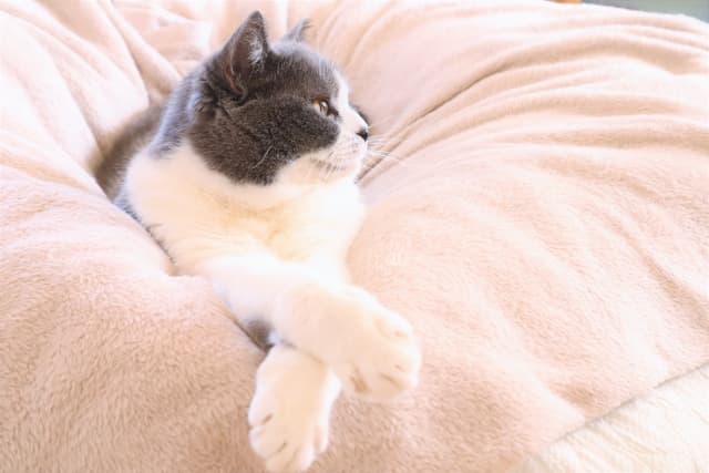 バリアフリー改修